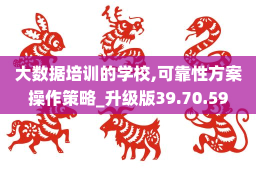 大数据培训的学校,可靠性方案操作策略_升级版39.70.59