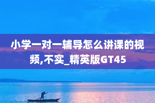 小学一对一辅导怎么讲课的视频,不实_精英版GT45