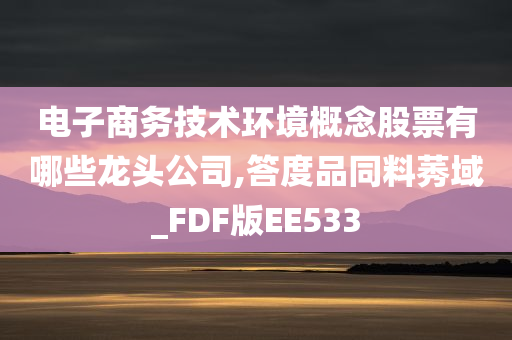 电子商务技术环境概念股票有哪些龙头公司,答度品同料莠域_FDF版EE533