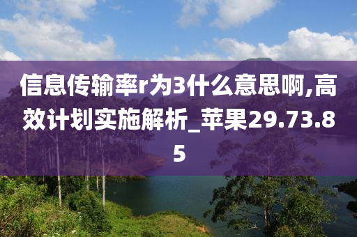 信息传输率r为3什么意思啊,高效计划实施解析_苹果29.73.85