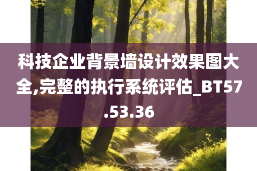 科技企业背景墙设计效果图大全,完整的执行系统评估_BT57.53.36