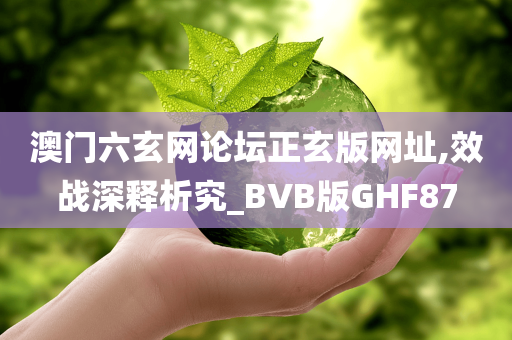 澳门六玄网论坛正玄版网址,效战深释析究_BVB版GHF87