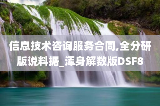 信息技术咨询服务合同,全分研版说料据_浑身解数版DSF8