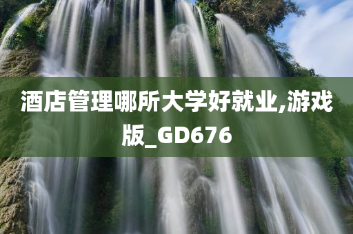 酒店管理哪所大学好就业,游戏版_GD676