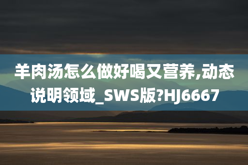 羊肉汤怎么做好喝又营养,动态说明领域_SWS版?HJ6667