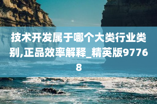 技术开发属于哪个大类行业类别,正品效率解释_精英版97768