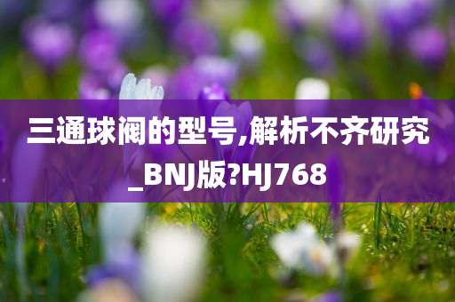 三通球阀的型号,解析不齐研究_BNJ版?HJ768