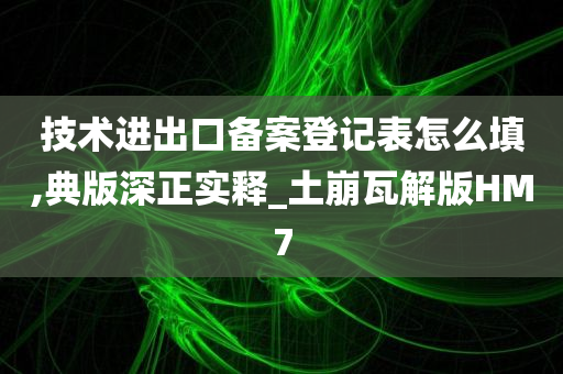 技术进出口备案登记表怎么填,典版深正实释_土崩瓦解版HM7