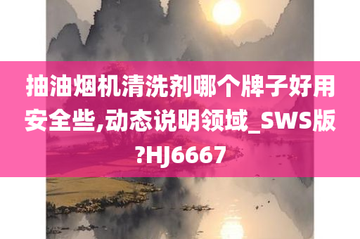 抽油烟机清洗剂哪个牌子好用安全些,动态说明领域_SWS版?HJ6667