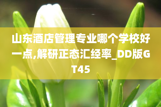 山东酒店管理专业哪个学校好一点,解研正态汇经率_DD版GT45