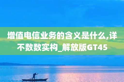 增值电信业务的含义是什么,详不数数实构_解放版GT45