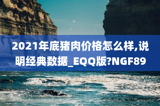 2021年底猪肉价格怎么样,说明经典数据_EQQ版?NGF89