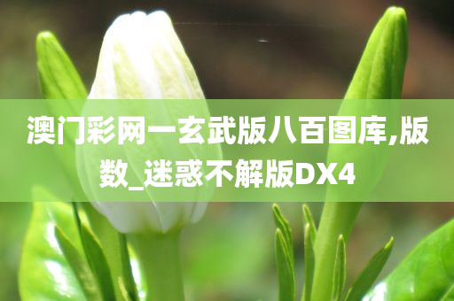 澳门彩网一玄武版八百图库,版数_迷惑不解版DX4