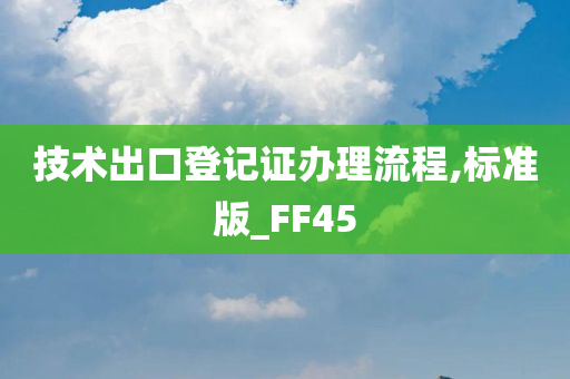 技术出口登记证办理流程,标准版_FF45