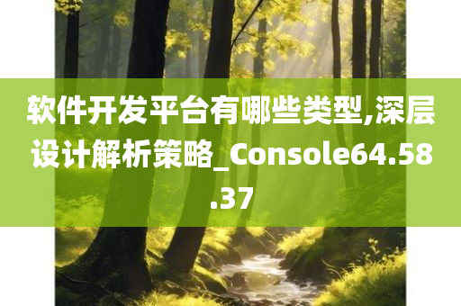 软件开发平台有哪些类型,深层设计解析策略_Console64.58.37