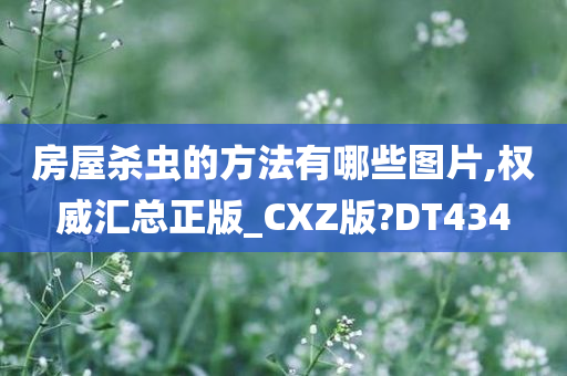 房屋杀虫的方法有哪些图片,权威汇总正版_CXZ版?DT434