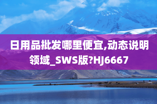 日用品批发哪里便宜,动态说明领域_SWS版?HJ6667