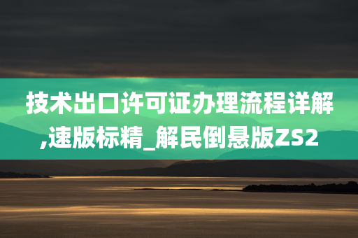 技术出口许可证办理流程详解,速版标精_解民倒悬版ZS2