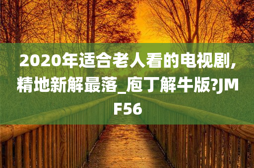 2020年适合老人看的电视剧,精地新解最落_庖丁解牛版?JMF56