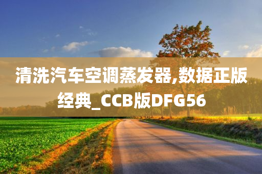 清洗汽车空调蒸发器,数据正版经典_CCB版DFG56