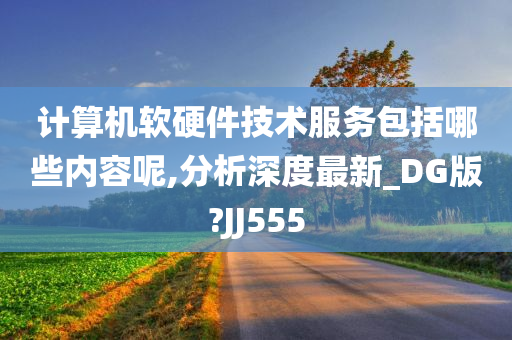 计算机软硬件技术服务包括哪些内容呢,分析深度最新_DG版?JJ555