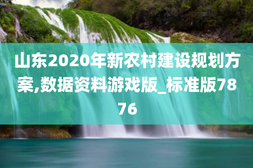 山东2020年新农村建设规划方案,数据资料游戏版_标准版7876