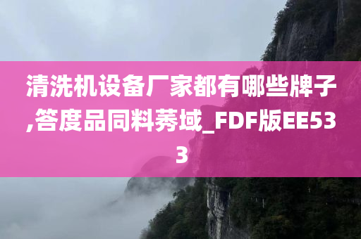 清洗机设备厂家都有哪些牌子,答度品同料莠域_FDF版EE533