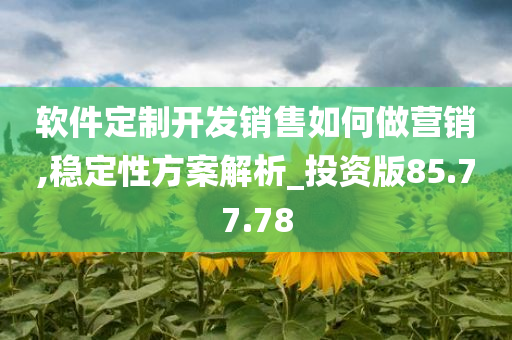 软件定制开发销售如何做营销,稳定性方案解析_投资版85.77.78