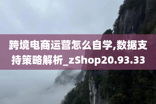 跨境电商运营怎么自学,数据支持策略解析_zShop20.93.33