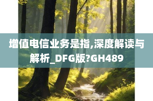 增值电信业务是指,深度解读与解析_DFG版?GH489