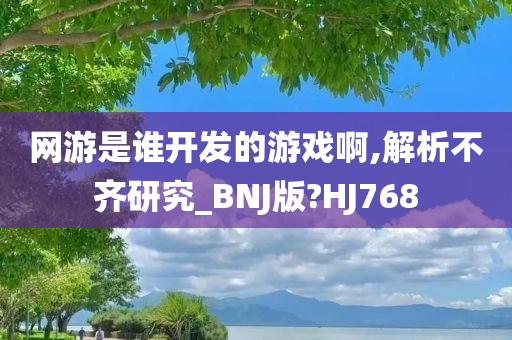 网游是谁开发的游戏啊,解析不齐研究_BNJ版?HJ768