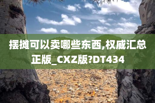 摆摊可以卖哪些东西,权威汇总正版_CXZ版?DT434