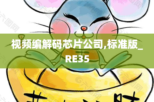 视频编解码芯片公司,标准版_RE35