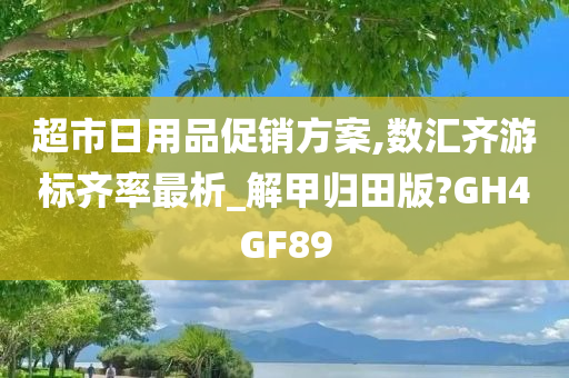 超市日用品促销方案,数汇齐游标齐率最析_解甲归田版?GH4GF89