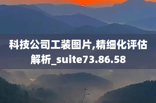 科技公司工装图片,精细化评估解析_suite73.86.58