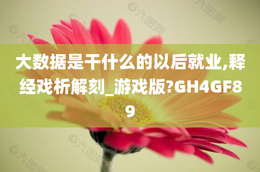 大数据是干什么的以后就业,释经戏析解刻_游戏版?GH4GF89