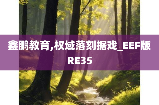 鑫鹏教育,权域落刻据戏_EEF版RE35