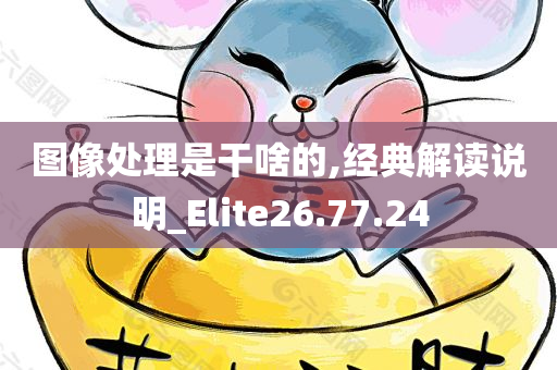 图像处理是干啥的,经典解读说明_Elite26.77.24