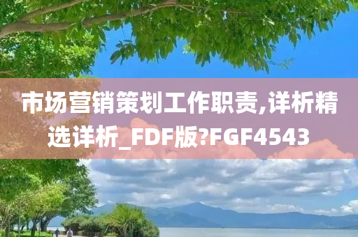 市场营销策划工作职责,详析精选详析_FDF版?FGF4543