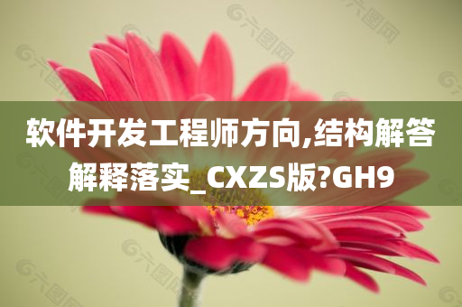 软件开发工程师方向,结构解答解释落实_CXZS版?GH9