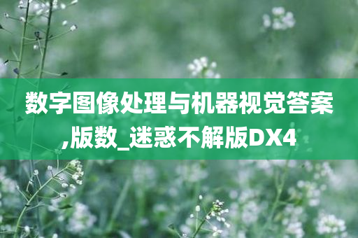 数字图像处理与机器视觉答案,版数_迷惑不解版DX4