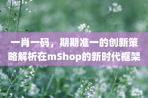 一肖一码，期期准一的创新策略解析在mShop的新时代框架