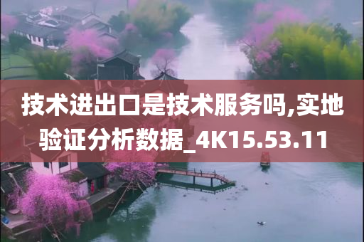 技术进出口是技术服务吗,实地验证分析数据_4K15.53.11