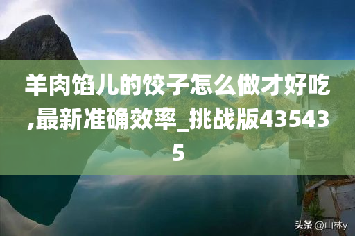 羊肉馅儿的饺子怎么做才好吃,最新准确效率_挑战版435435