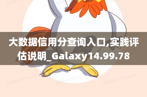 大数据信用分查询入口,实践评估说明_Galaxy14.99.78