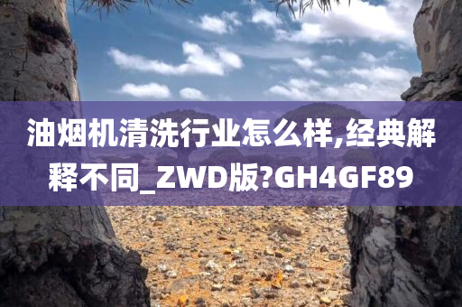 油烟机清洗行业怎么样,经典解释不同_ZWD版?GH4GF89