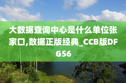 大数据查询中心是什么单位张家口,数据正版经典_CCB版DFG56