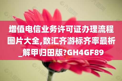 增值电信业务许可证办理流程图片大全,数汇齐游标齐率最析_解甲归田版?GH4GF89