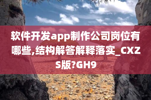 软件开发app制作公司岗位有哪些,结构解答解释落实_CXZS版?GH9