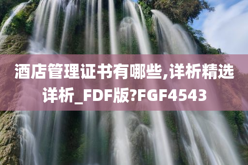 酒店管理证书有哪些,详析精选详析_FDF版?FGF4543